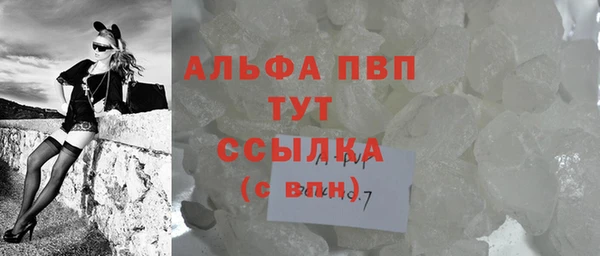метадон Богданович