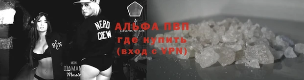 метадон Богданович