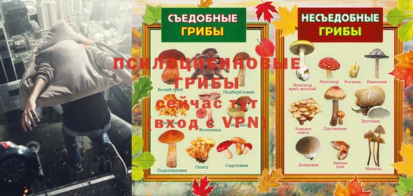 метадон Богданович