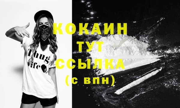 метадон Богданович