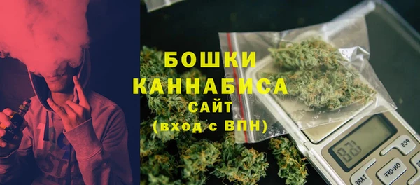 метадон Богданович